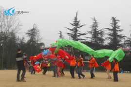 山美特 專業體驗式拓展訓練，賦能團隊凝聚力與協作力